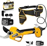 SWANSOFT [Meilleur Rapport Qualité-Prix] PRU45 Secateur