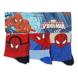 Spiderman Pack de 3 Paires de Chaussettes garçon