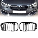 DOCAS Paire de grilles avant pour 1 Série F20 F21 2015-2019
