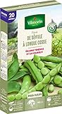 Vilmorin Fève de Séville a Longue cosse Boite série20m,