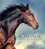 CHEVAUX