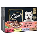 CESAR Repas pour Chien - 48 Sachets Fraîcheur (Lot