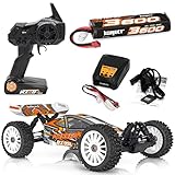 HOBBYTECH Pack Buggy RC BX8SL Runner Orange RTR
