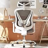 HOLLUDLE Chaise de Bureau Ergonomique avec Support