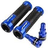 HRYZN Barre de poignée pour Yamaha FZ6 / FAZER / RFZ6R