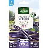 Vilmorin - Graines de Haricot violet sans fil VELOUR