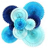 Pompoms 10 Pièces, Papier de Soie Boule, Ventilateur