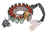 Phare Stator pour Yamaha Majesty, MBK Skyliner (-07)