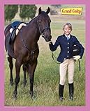 MB Jeux - 18299 - Puzzle - Grand Galop - Stevie - 100