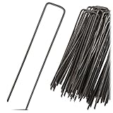 BB Sport Piquets de Fixation - Acier au Carbone ou