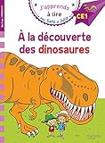 Sami et Julie CE1 - A la découverte des dinosaures