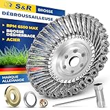 S&R Brosse Débroussailleuse Thermique Universelle Acier
