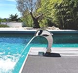 CASCADES-INOX 316 Fontaine Piscine Bassin Modèle Dauphin
