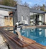 Cascade Inox Fontaine Piscine Bassin Modèle Dauphin