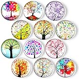 OOTSR 12 Arbre Vie Aimants de Réfrigérateur, 3D Magnet