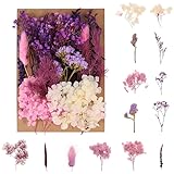 Halinuia Bouquet de Fleurs Séchées Naturelles Vraies