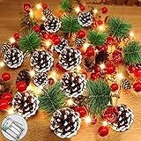 Guirlande lumineuse par piles - XRR 20 LED Noël Lumières